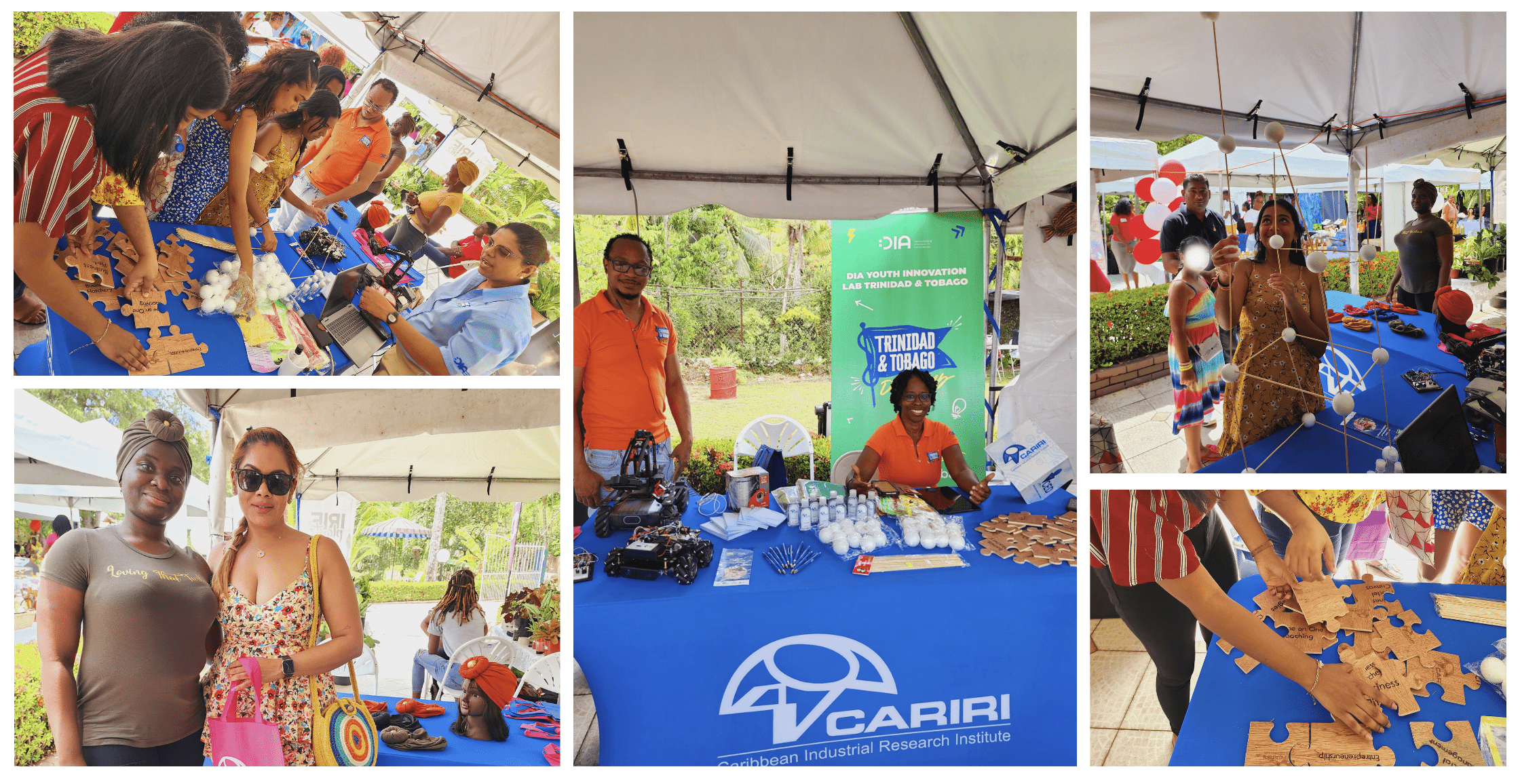 Showcasing the DIA Lab TT at the Village Wallawah Event 