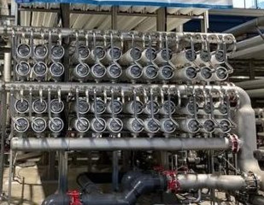 The Trust for the Americas lanza su nuevo programa Skills for Sustainability – S4S