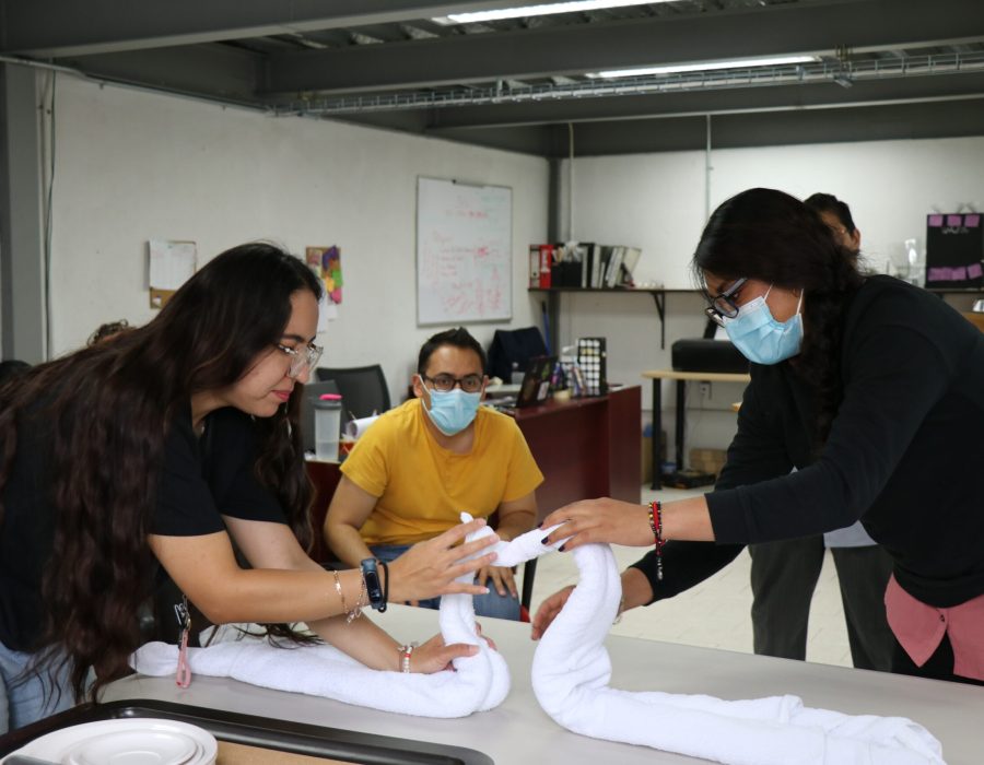 Proyecto CIMA impulsa la inserción laboral y empoderamiento de mujeres en Ciudad de México 