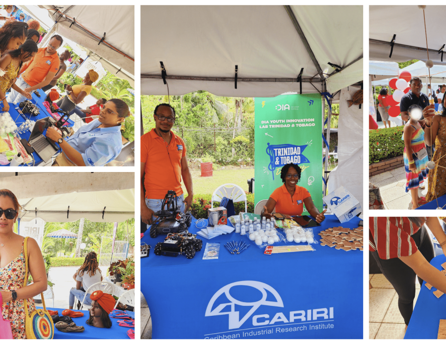 Showcasing the DIA Lab TT at the Village Wallawah Event